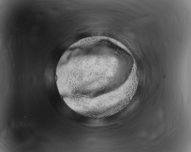 X0000087600335200705181242