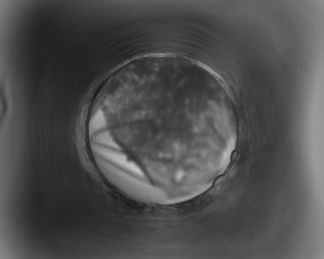 X0000087600337200705181241