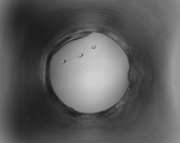 X0000087600338200705181241