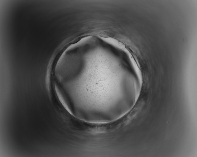 X0000087600340200705181241