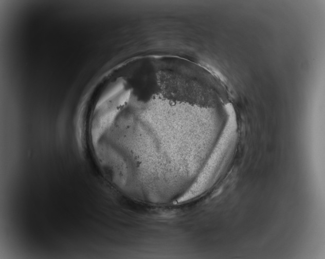 X0000087600343200705181241