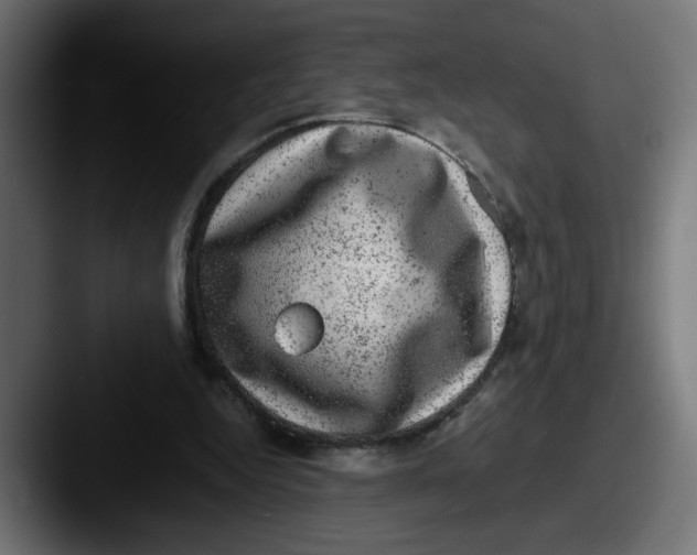 X0000087600344200705181241