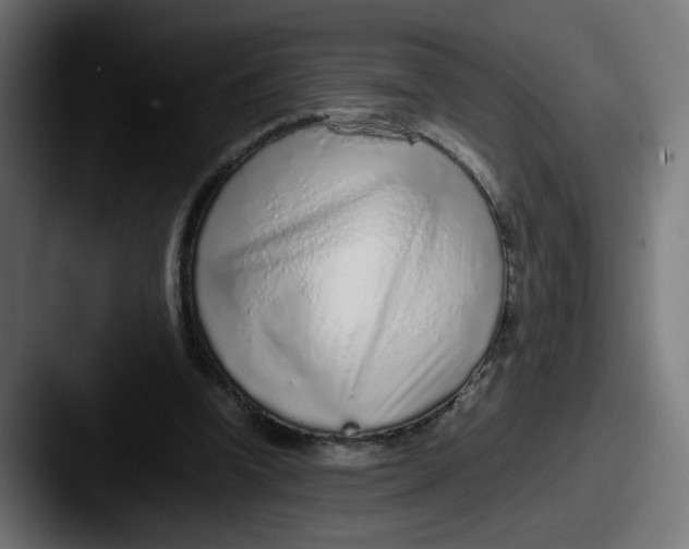 X0000087600346200705181241