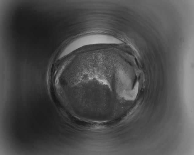 X0000087600348200705181241