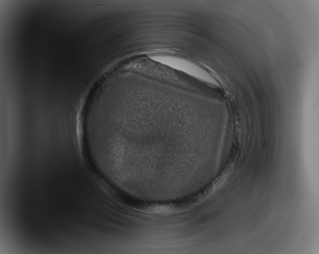 X0000087600350200705181241