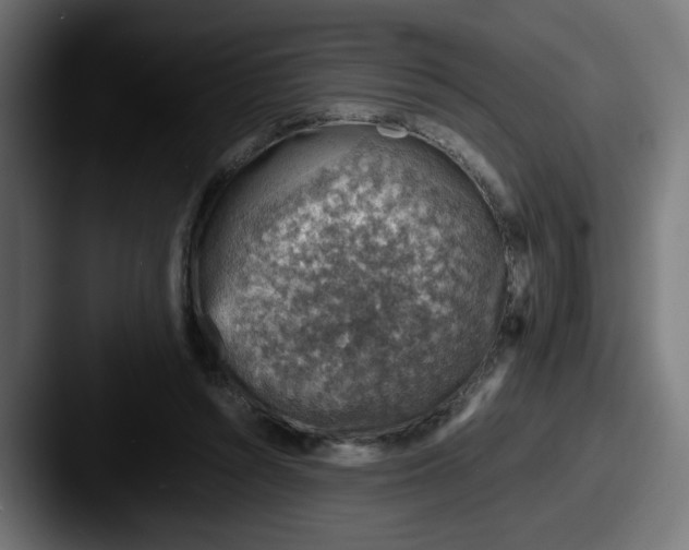 X0000087600352200705181241