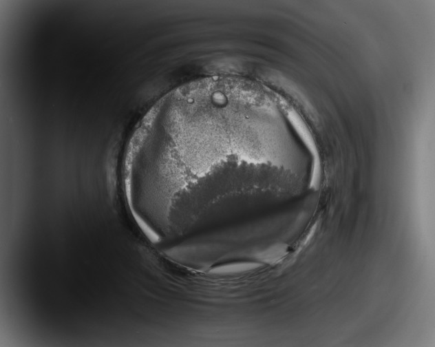 X0000087600353200705181241