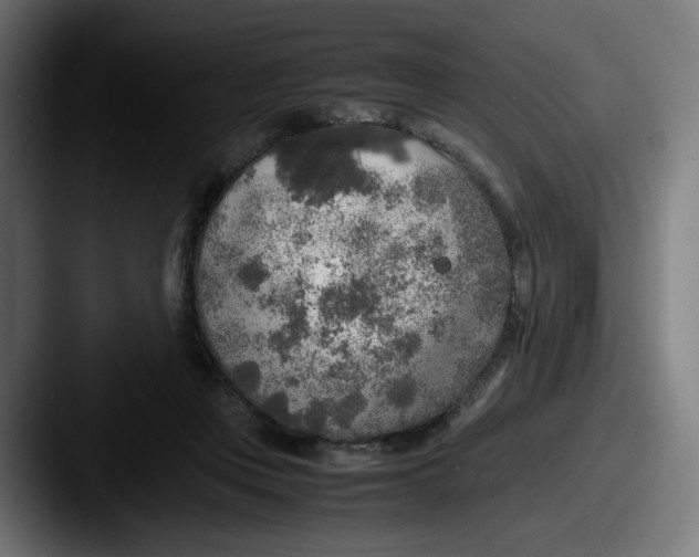 X0000087600359200705181241