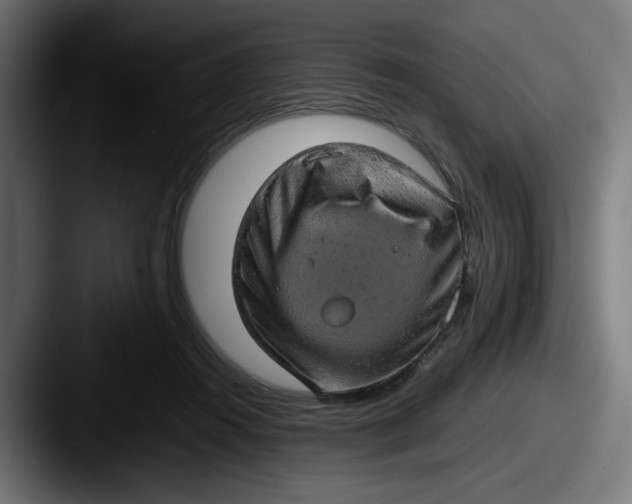 X0000087600360200705181241