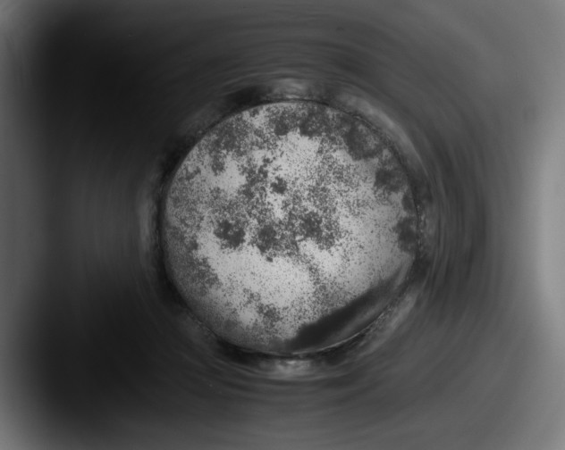 X0000087600361200705181241