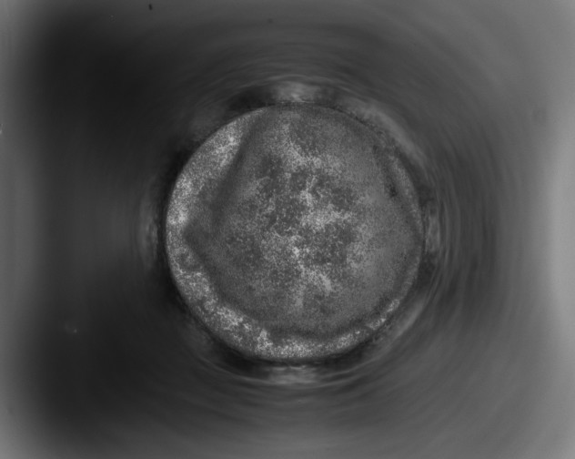 X0000087600363200705181241