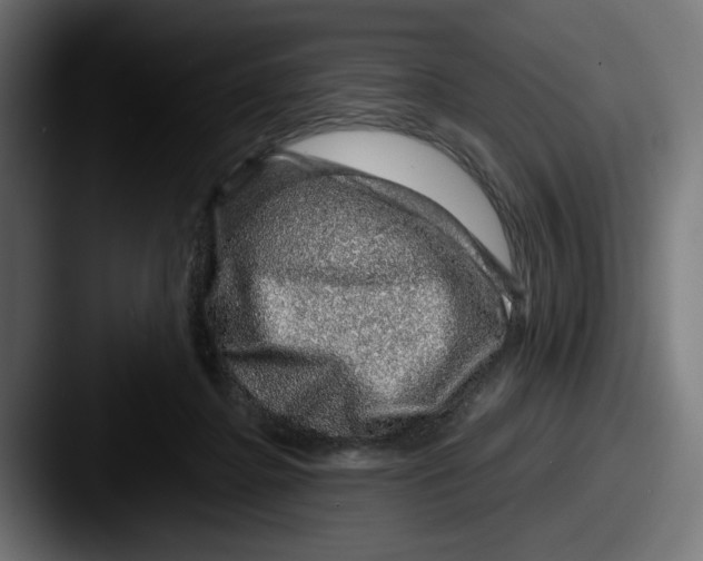 X0000087600364200705181241