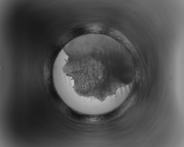 X0000087600365200705181241