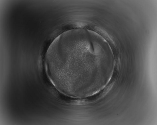 X0000087600366200705181241