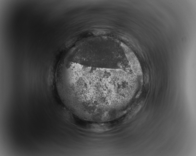 X0000087600367200705181241