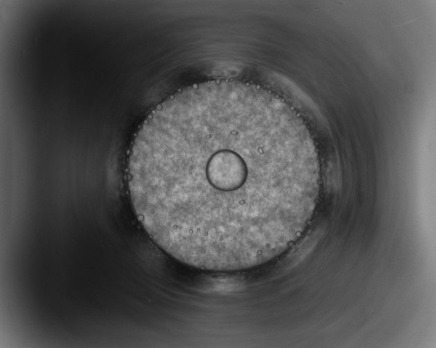 X0000087600370200705181241