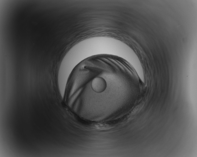 X0000087600372200705181241