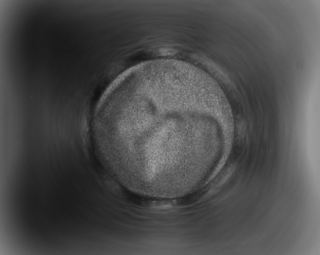 X0000087600373200705181241