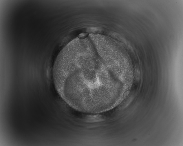 X0000087600375200705181241