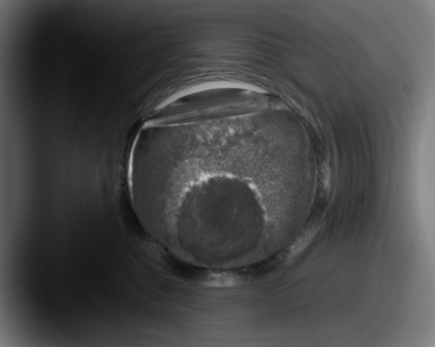 X0000087600376200705181241