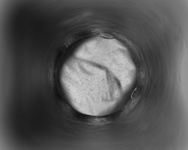 X0000087600379200705181241