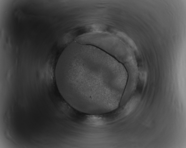 X0000087600380200705181241