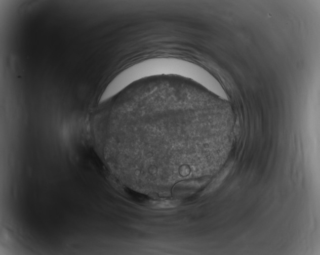 X0000087600381200705181241