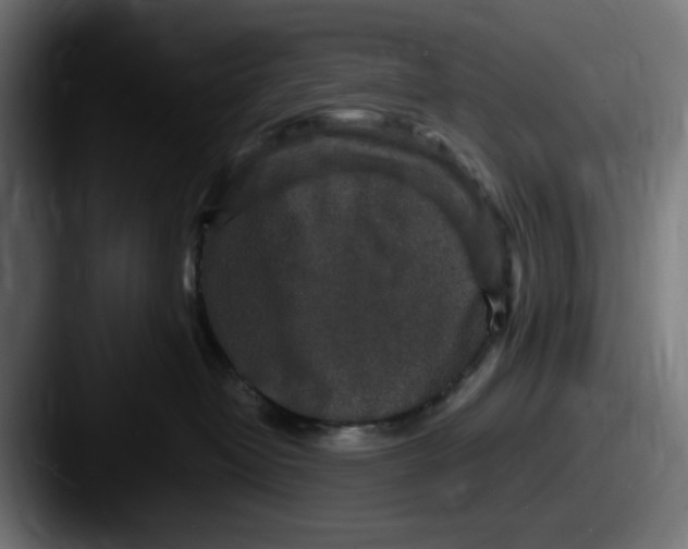 X0000087600382200705181241