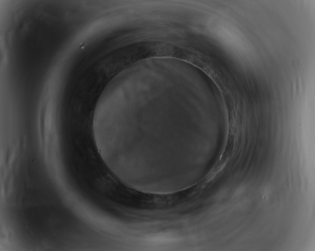 X0000087600383200705181241