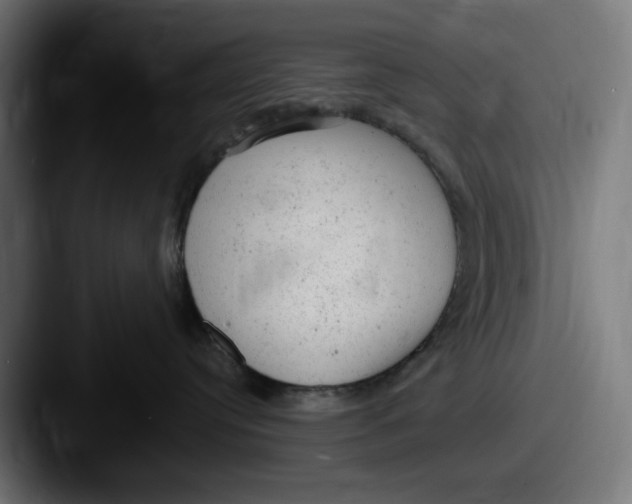 X0000087600384200705181242