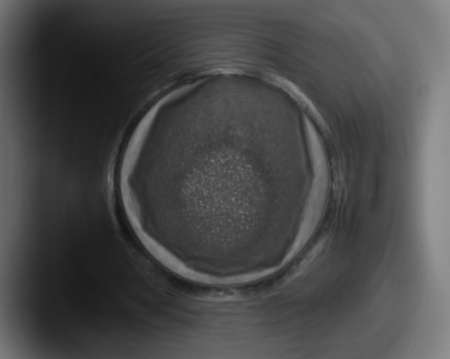 X0000087600386200705181241