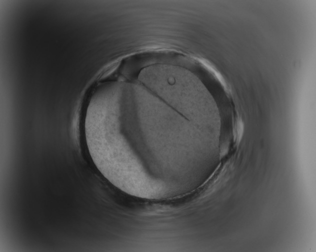 X0000087600387200705181241