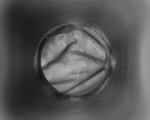 X0000087600388200705181241