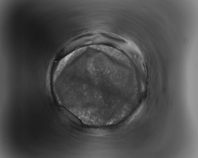 X0000087600389200705181241