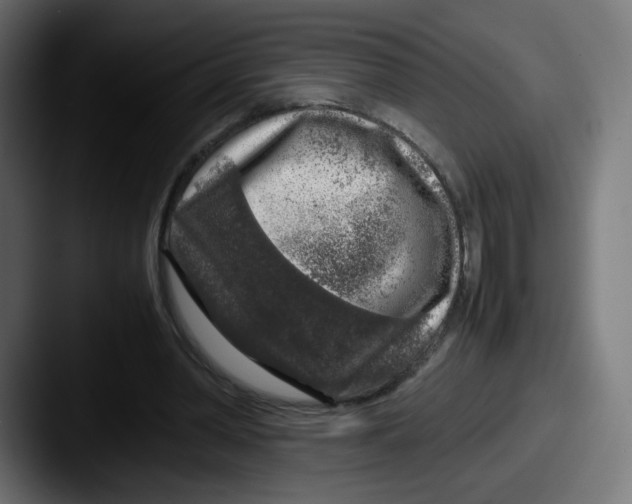 X0000087600390200705181241