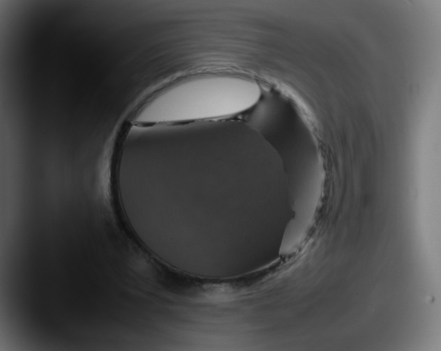 X0000087600391200705181241