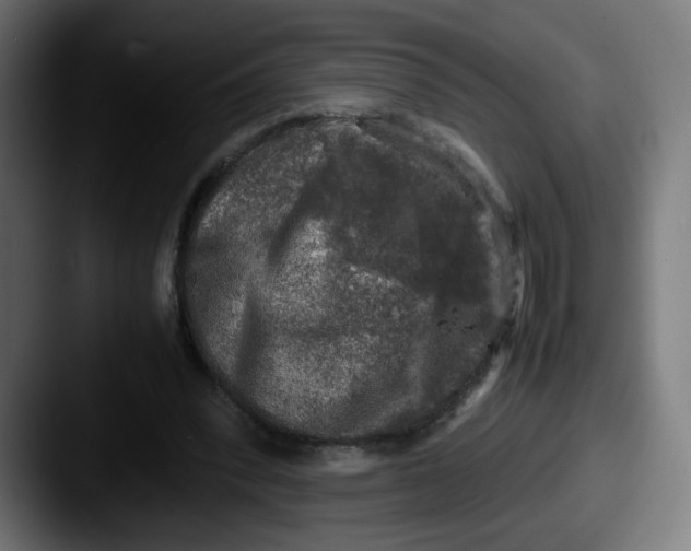 X0000087600392200705181241