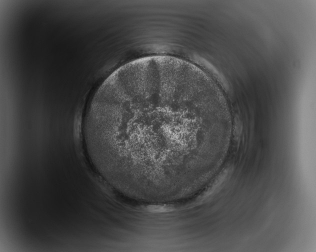 X0000087600394200705181241