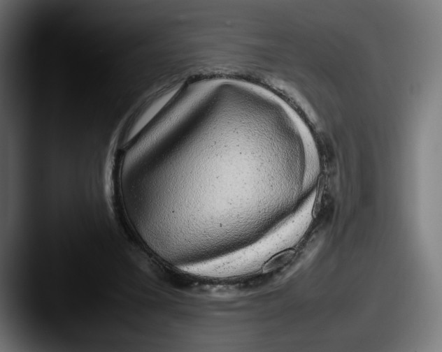 X0000087600395200705181241