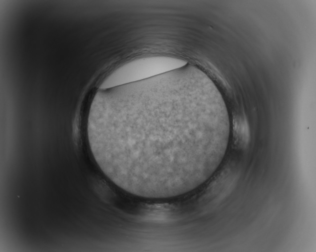 X0000087600396200705181241