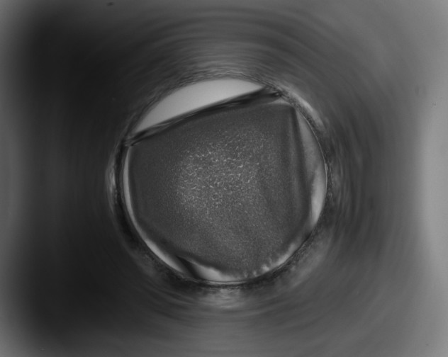 X0000087600398200705181241