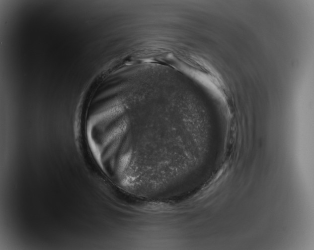 X0000087600399200705181241