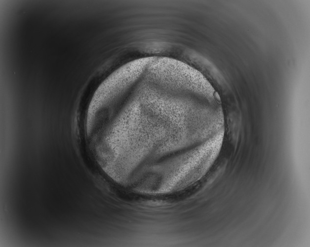 X0000087600400200705181241