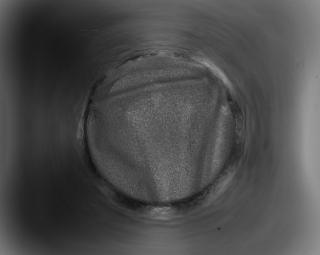 X0000087600401200705181241