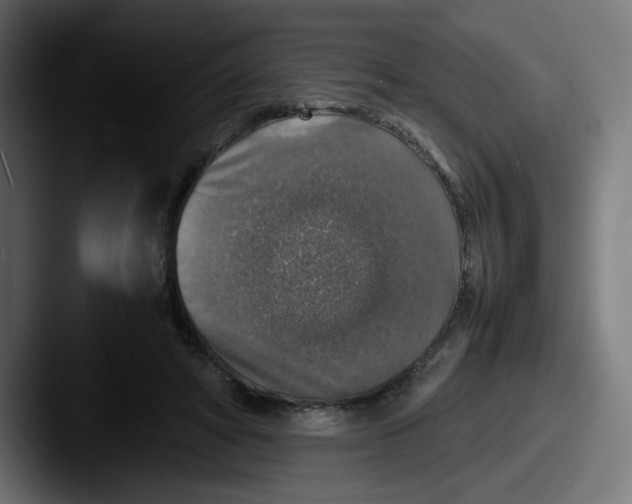X0000087600402200705181241