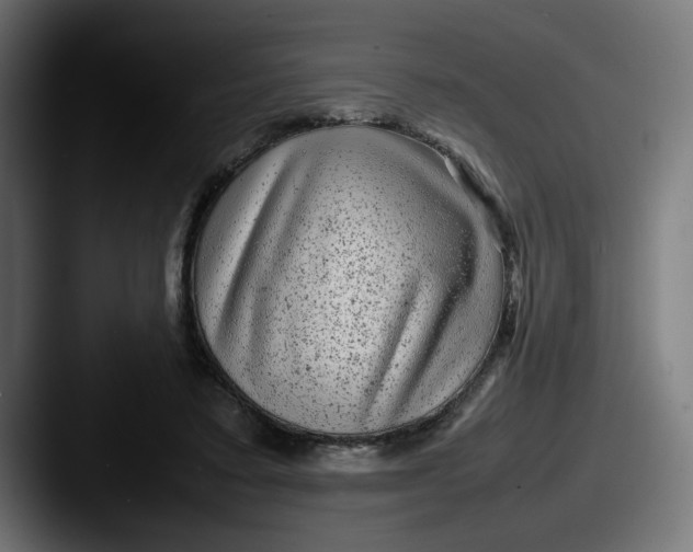 X0000087600403200705181241