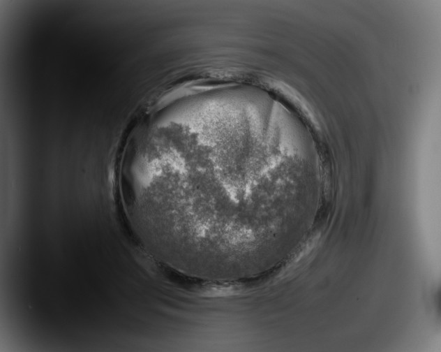 X0000087600405200705181241