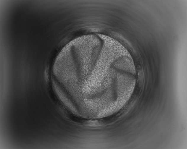 X0000087600406200705181241