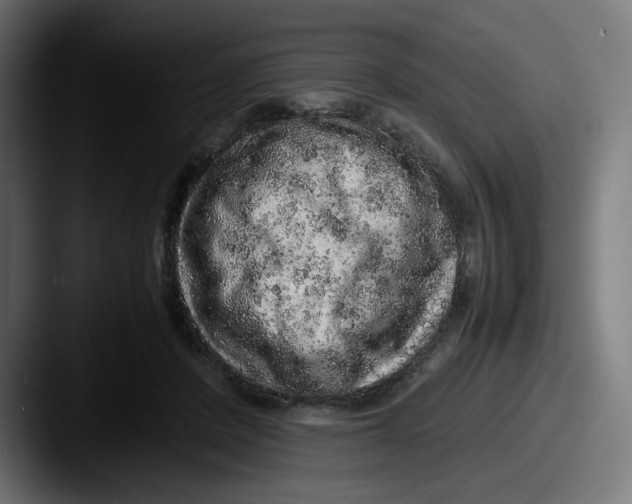 X0000087600408200705181241