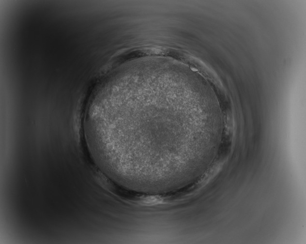 X0000087600409200705181241